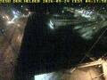Webcam Den Helder