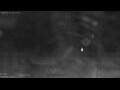 Webcam Callantsoog