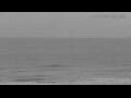 Webcam Blankenberge