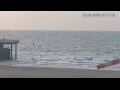 Webcam Blankenberge