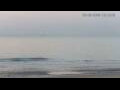 Webcam Blankenberge