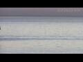 Webcam Blankenberge