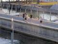 Webcam Arbon