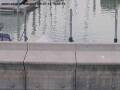 Webcam Arbon