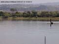 Webcam Arbon