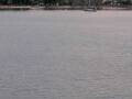 Webcam Arbon