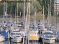Webcam Arbon