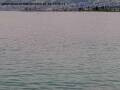 Webcam Arbon
