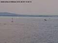Webcam Arbon