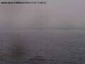 Webcam Arbon