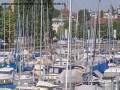 Webcam Arbon