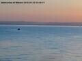 Webcam Arbon