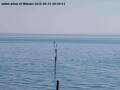 Webcam Arbon