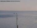 Webcam Arbon