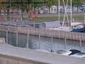 Webcam Arbon