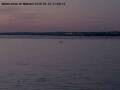 Webcam Arbon