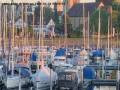 Webcam Arbon