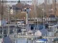 Webcam Arbon