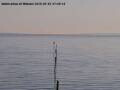 Webcam Arbon