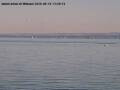Webcam Arbon