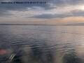 Webcam Arbon