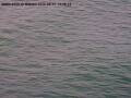 Webcam Arbon