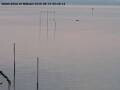 Webcam Arbon