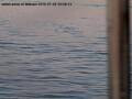 Webcam Arbon