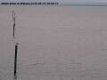 Webcam Arbon