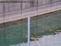 Webcam Arbon