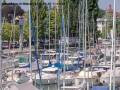 Webcam Arbon