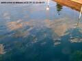 Webcam Arbon