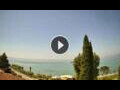 Webcam Cisano (Gardasee)