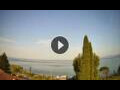 Webcam Cisano (Lago di Garda)