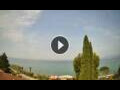 Webcam Cisano (Lake Garda)