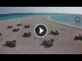 Webcam Kuredu Island (Lhaviyani Atoll)