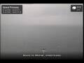 Webcam Island Princess