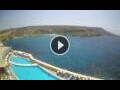 Webcam Ċirkewwa