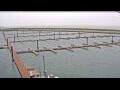 Webcam Oudeschild (Texel)