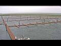 Webcam Oudeschild (Texel)