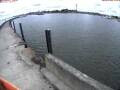 Webcam Wilhelmshaven