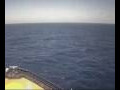Webcam Mein Schiff 5