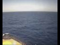 Webcam Mein Schiff 5