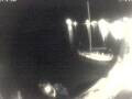 Webcam Valun (Cres)