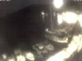 Webcam Valun (Cres)