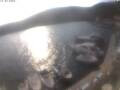 Webcam Valun (Cres)