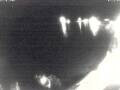 Webcam Valun (Cherso)