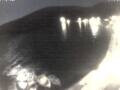 Webcam Valun (Cherso)