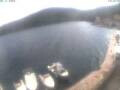 Webcam Valun (Cres)