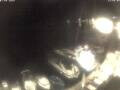 Webcam Valun (Cres)